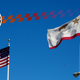 Image for article titled Get Ready For A Good Old Fashioned States' Rights Fight Over Emissions